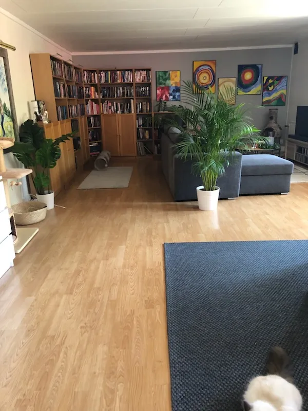 Property image 7
