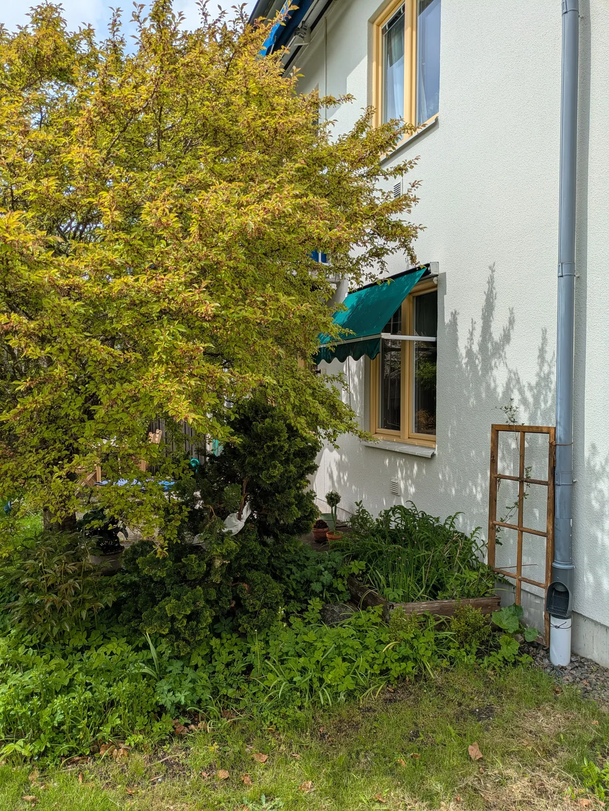 Property image 24
