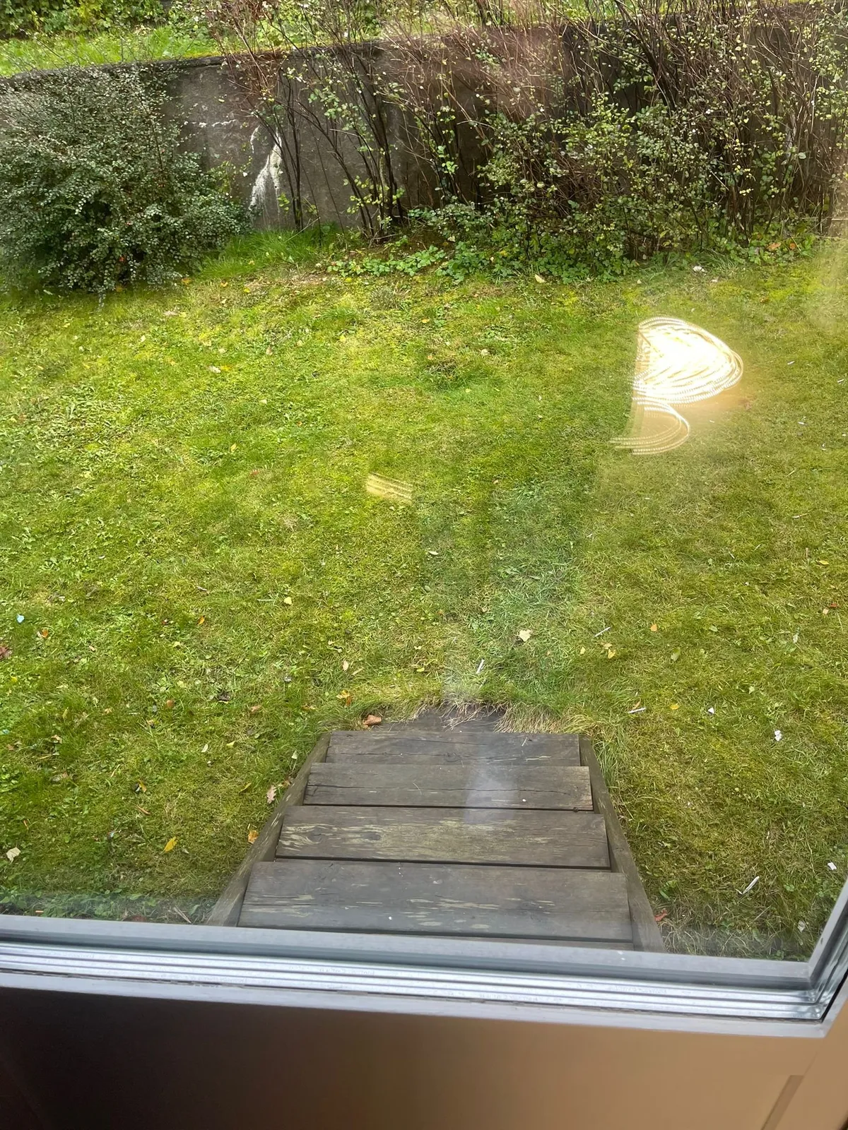 Property image 51