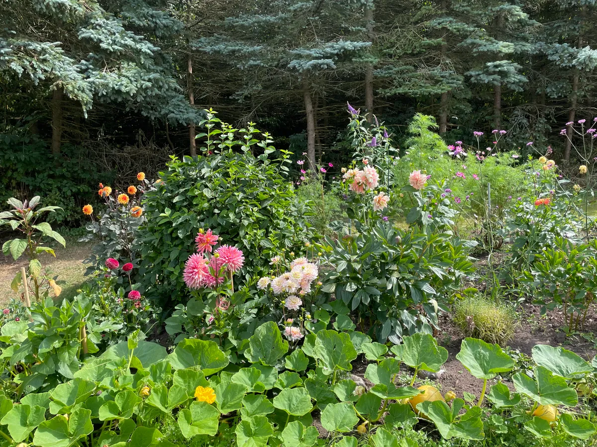Property image 21