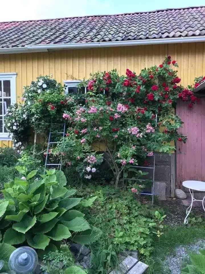 Property image 23