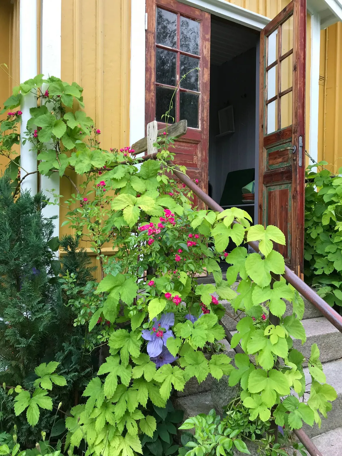 Property image 18