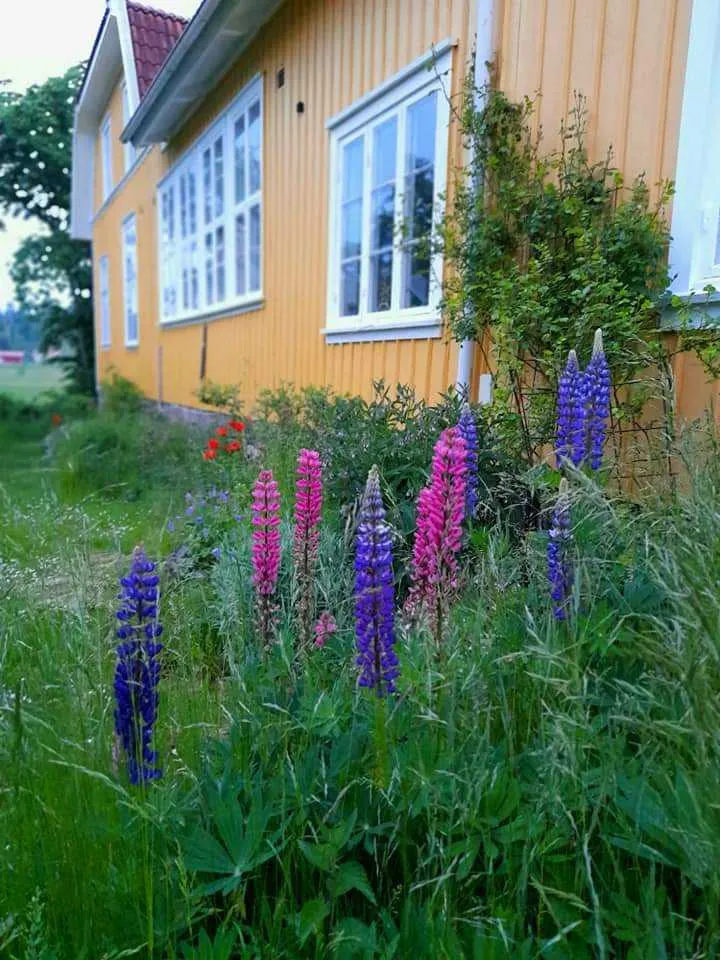 Property image 36