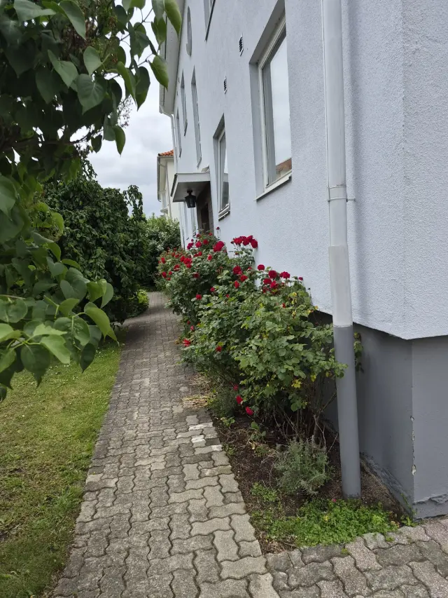 Hyreslägenhet på Kristianstad i kristianstad