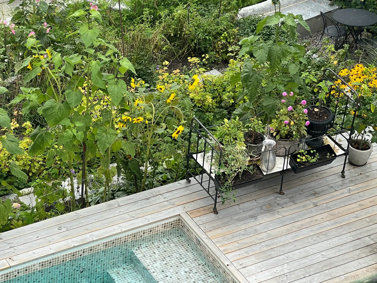 Property image 22