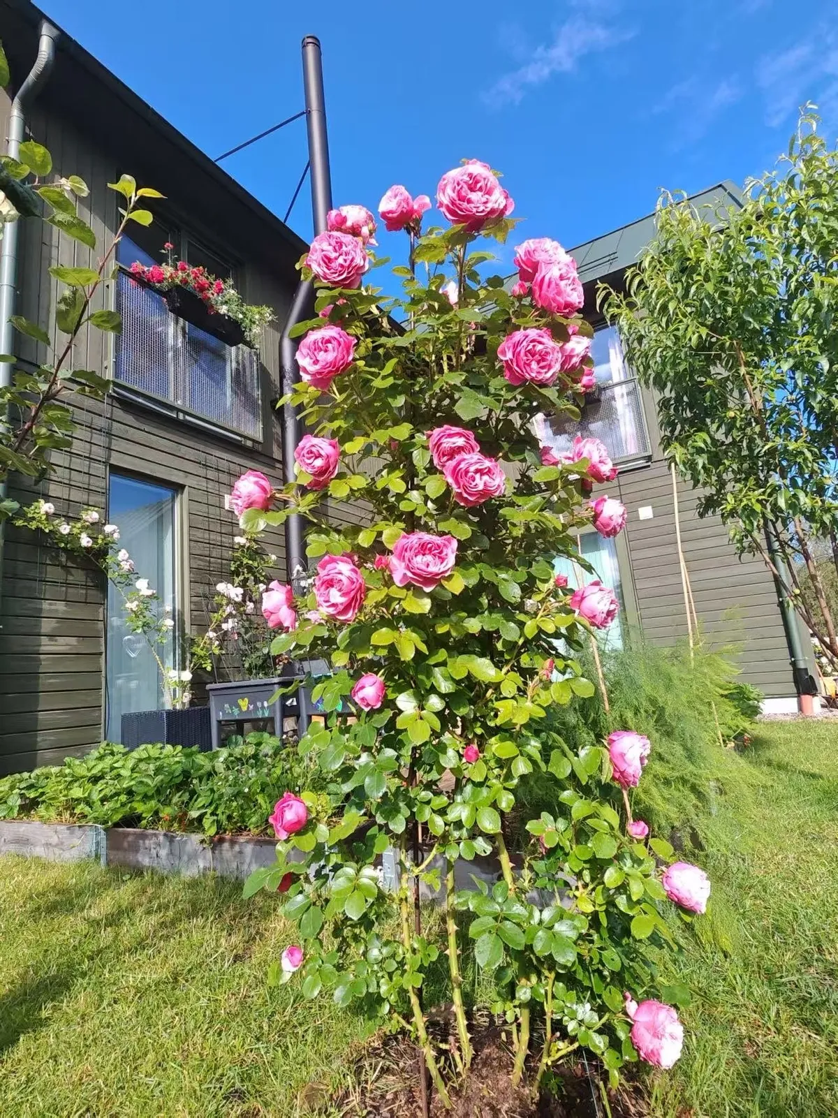 Property image 24