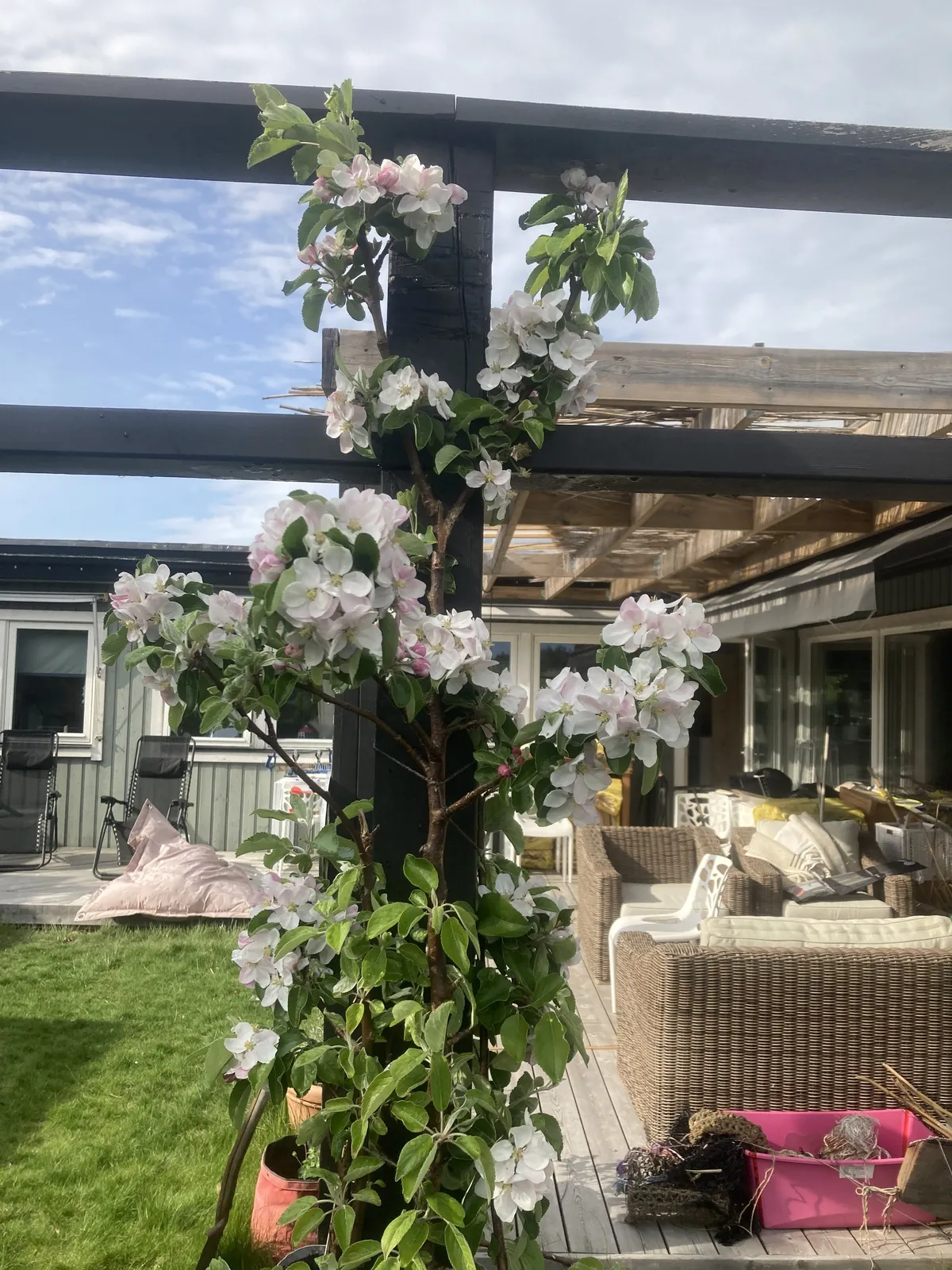 Property image 41