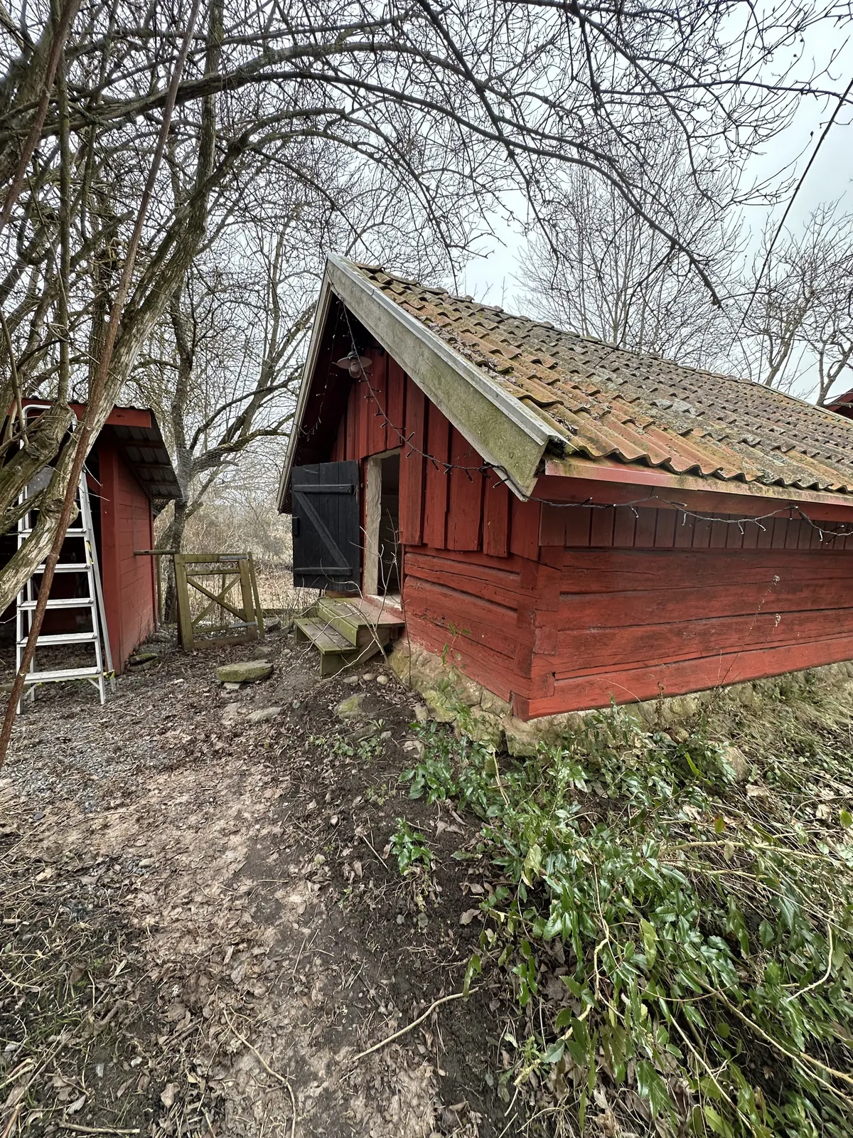 Property image 27