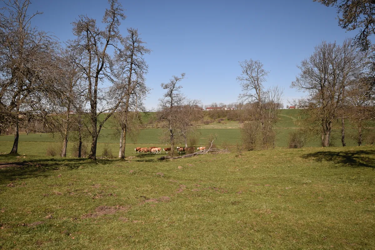 Property image 16