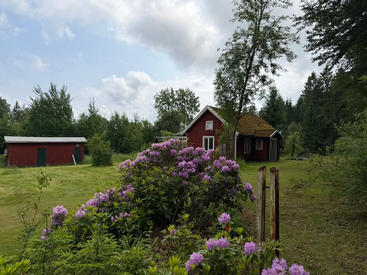 Property image 15