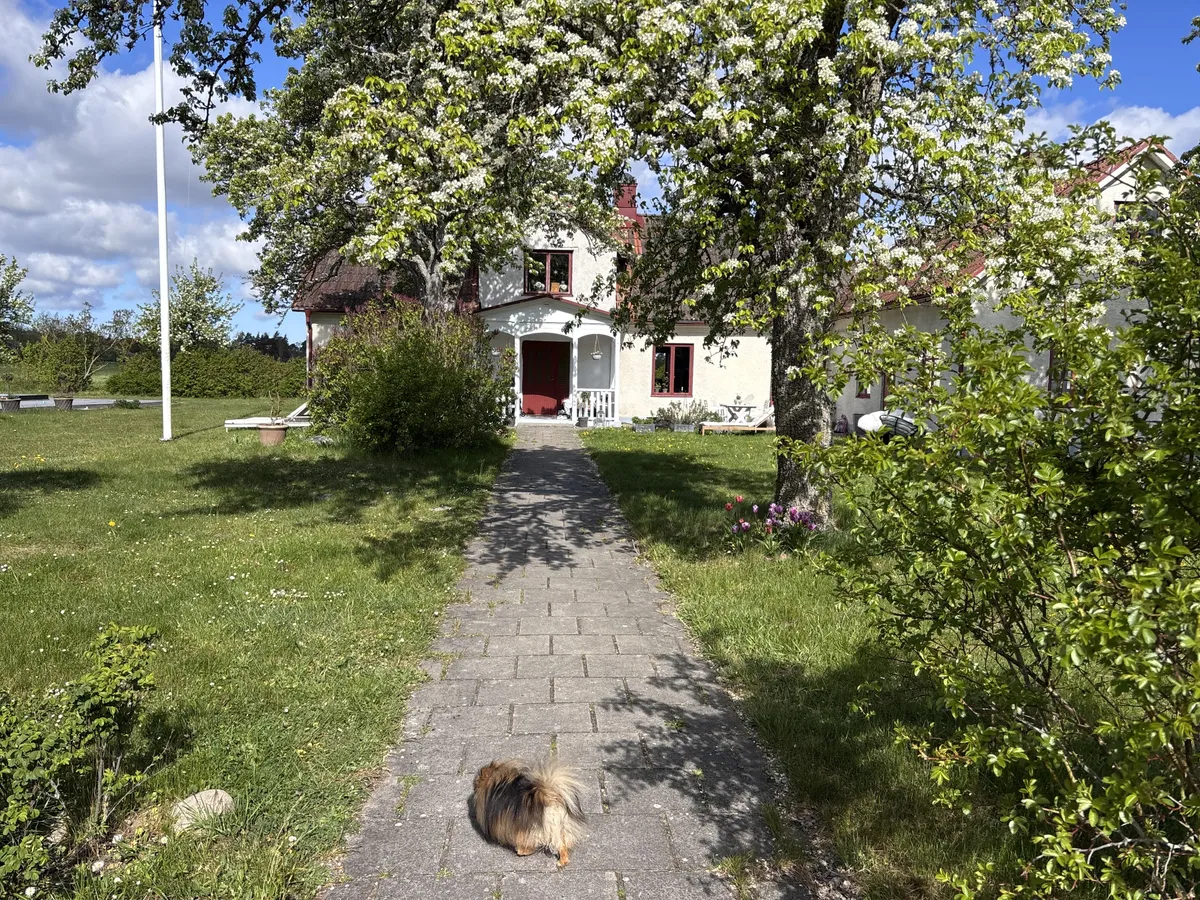 Property image 13
