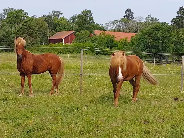 Hyresbostad på Hågavägen i Uppsala
