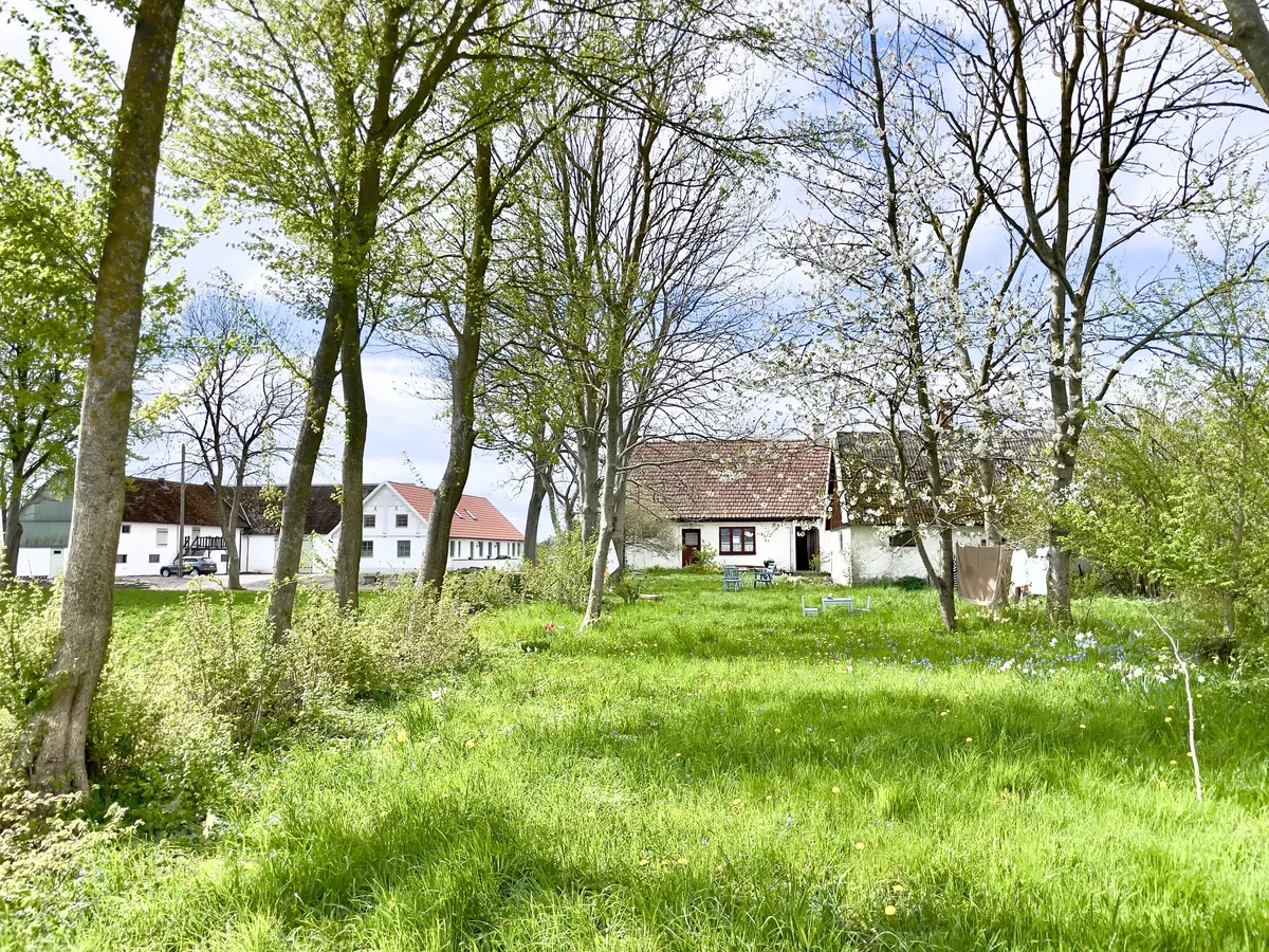 Property image 35