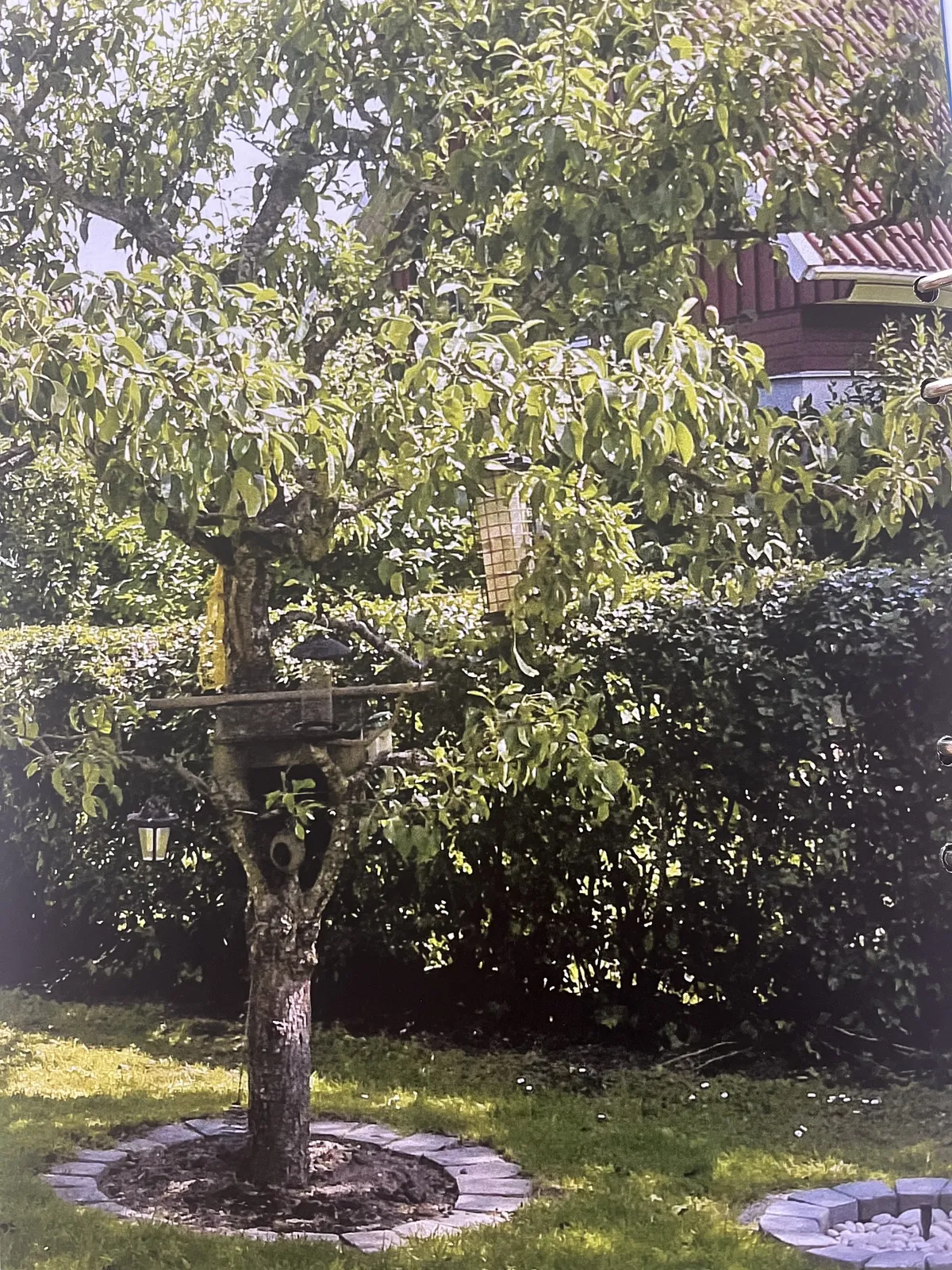 Property image 24