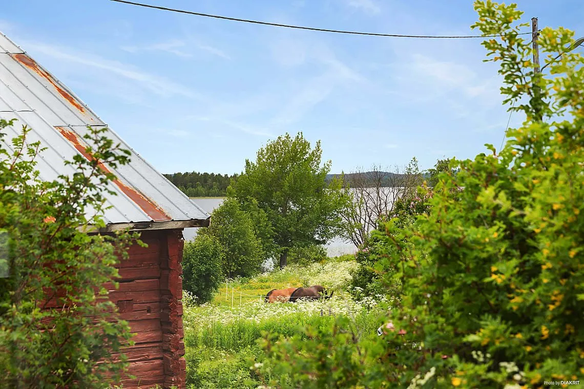 Property image 16