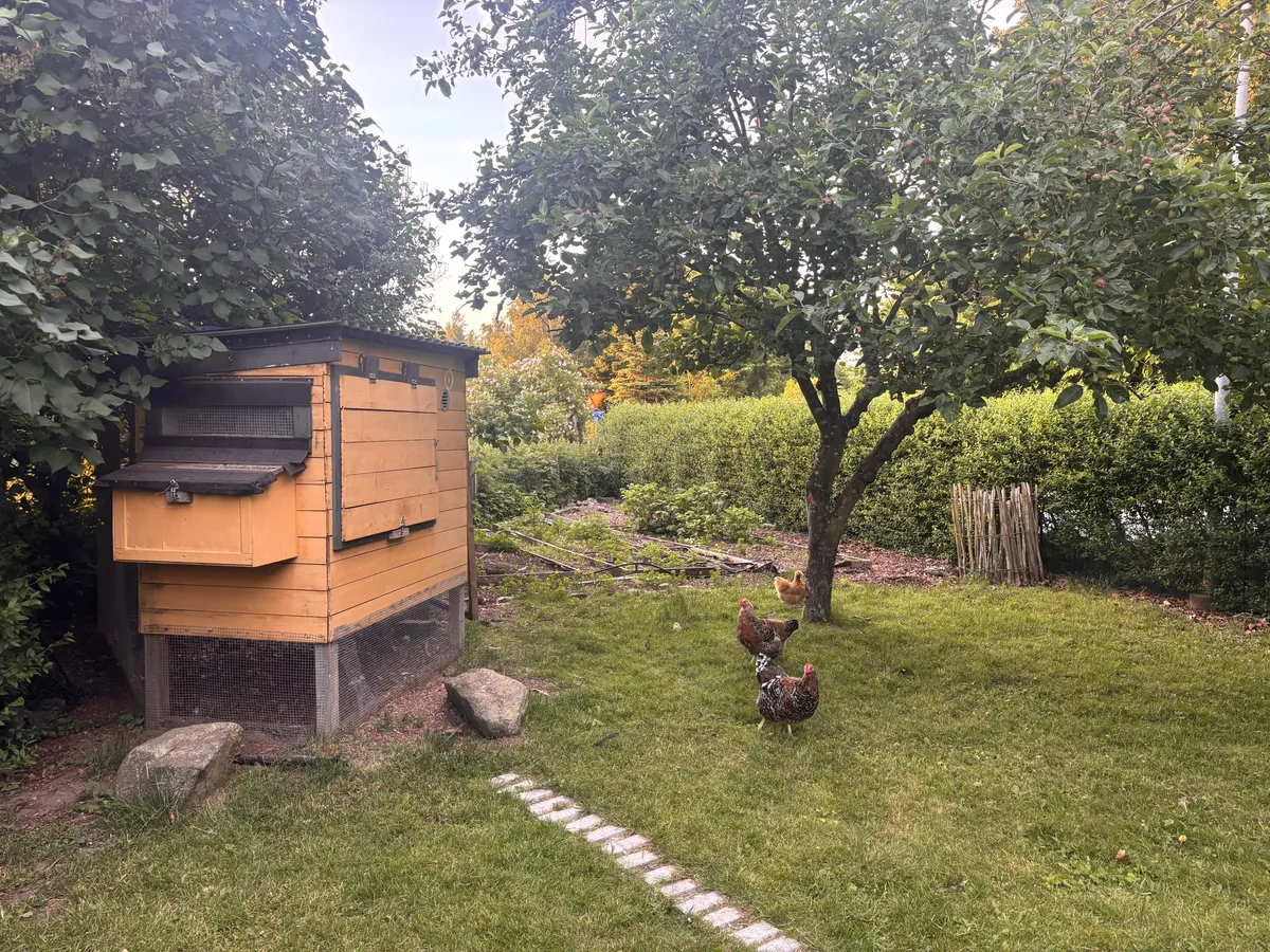 Property image 22