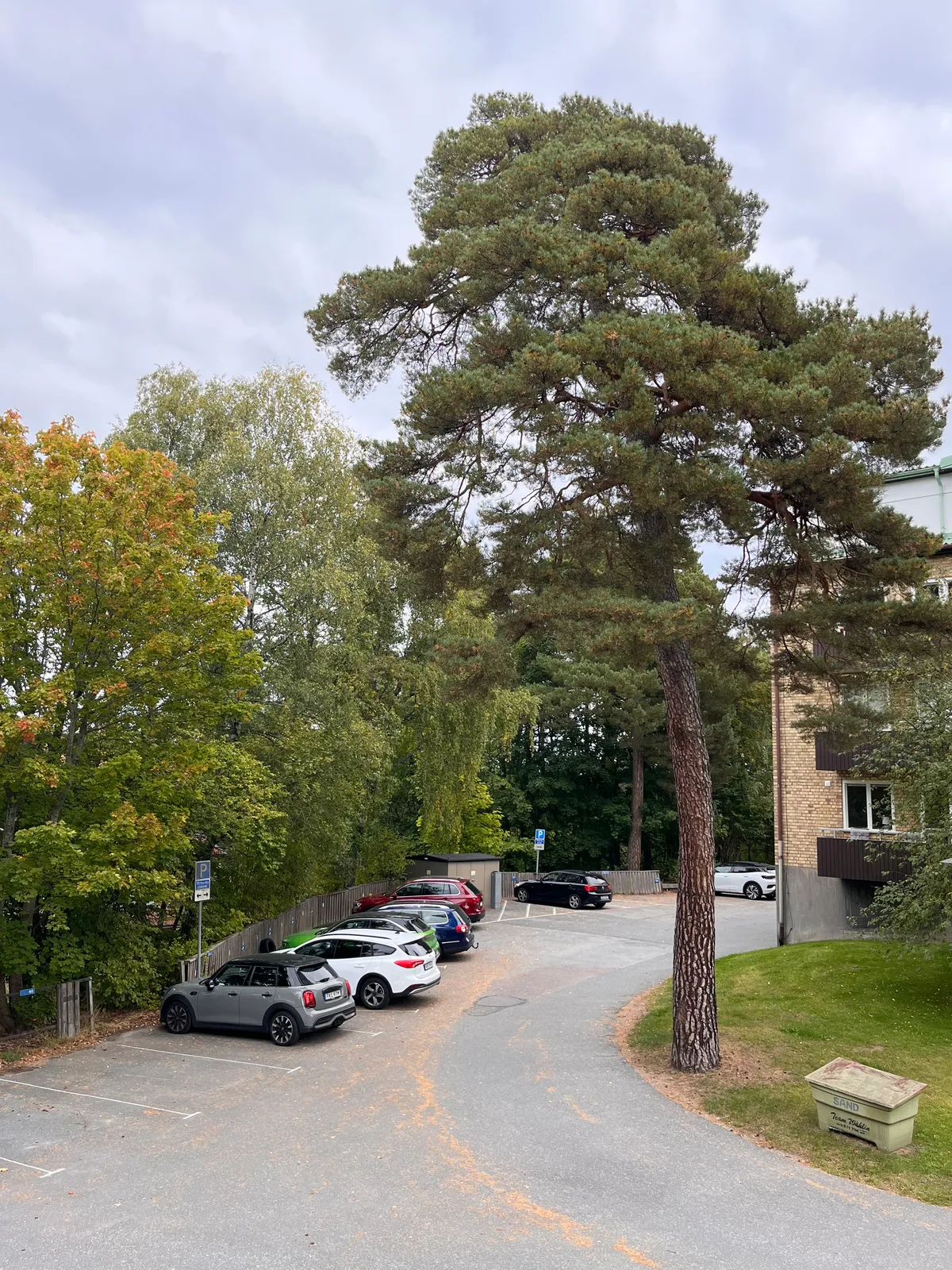 Property image 18