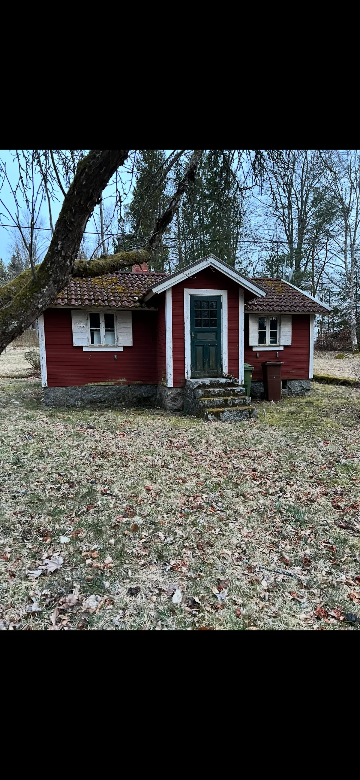 Property image 51