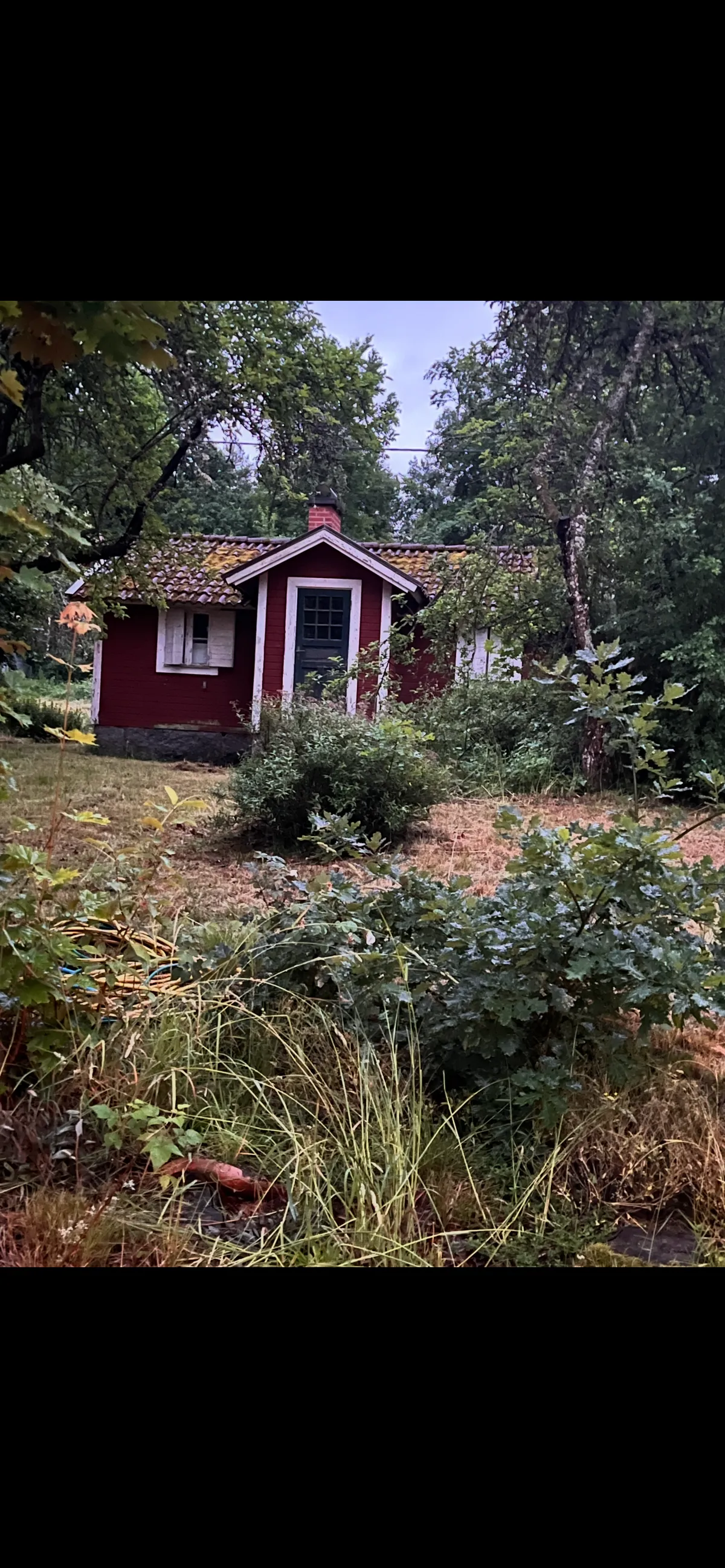 Property image 31