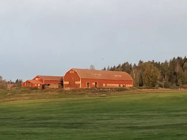 Hyreslägenhet på Lida Gård i Gamleby
