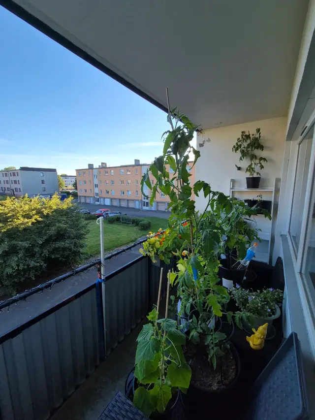 Hyreslägenhet på Forserum i forserum