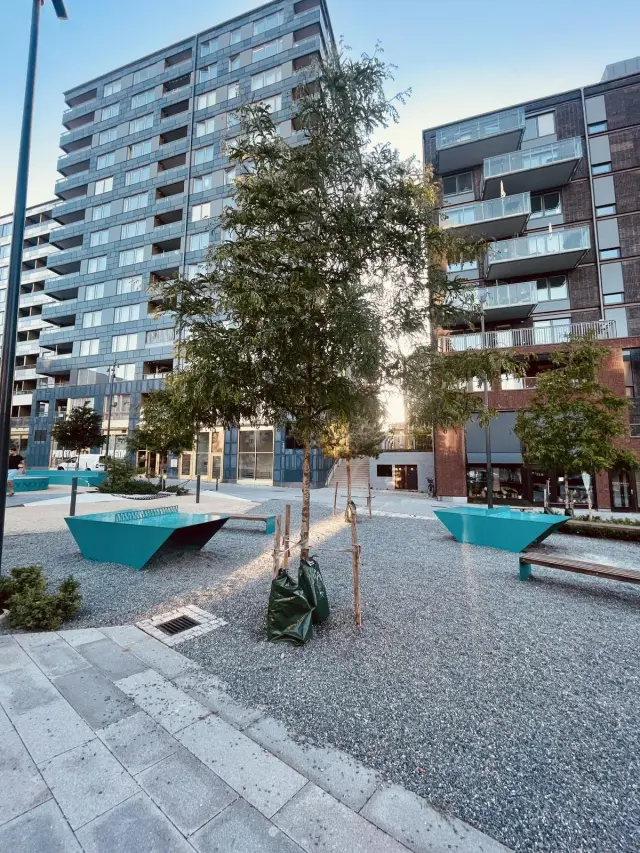 Hyreslägenhet på Bromma i bromma