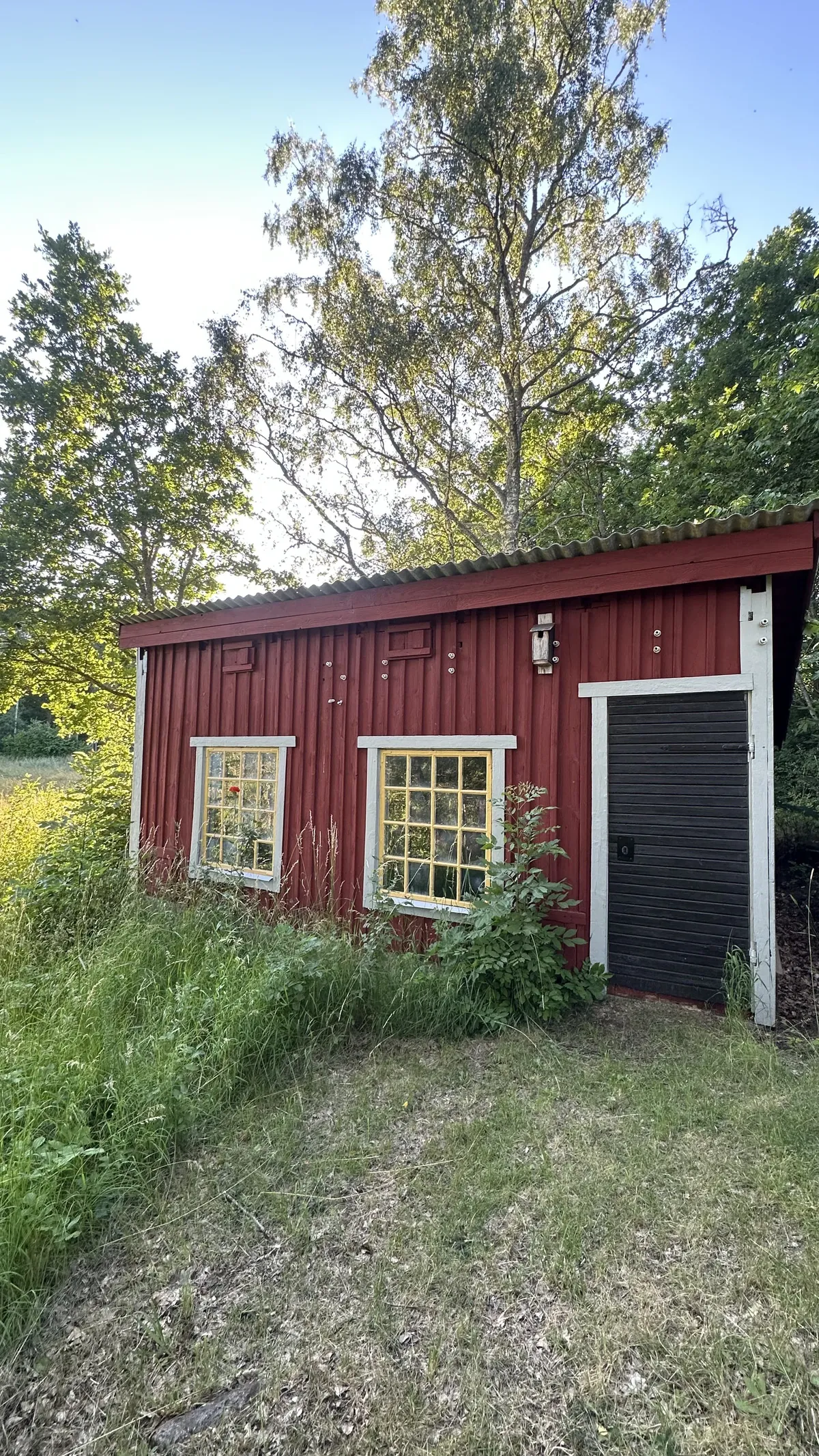 Property image 23