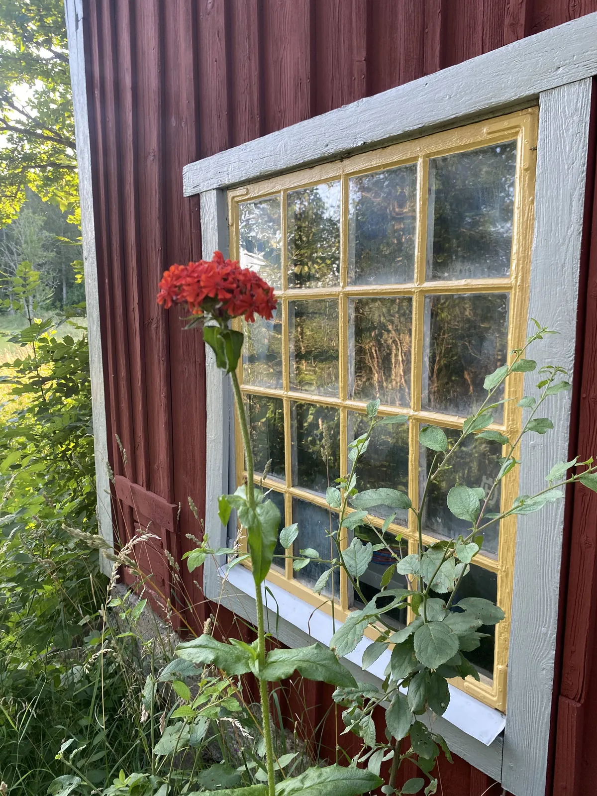 Property image 24