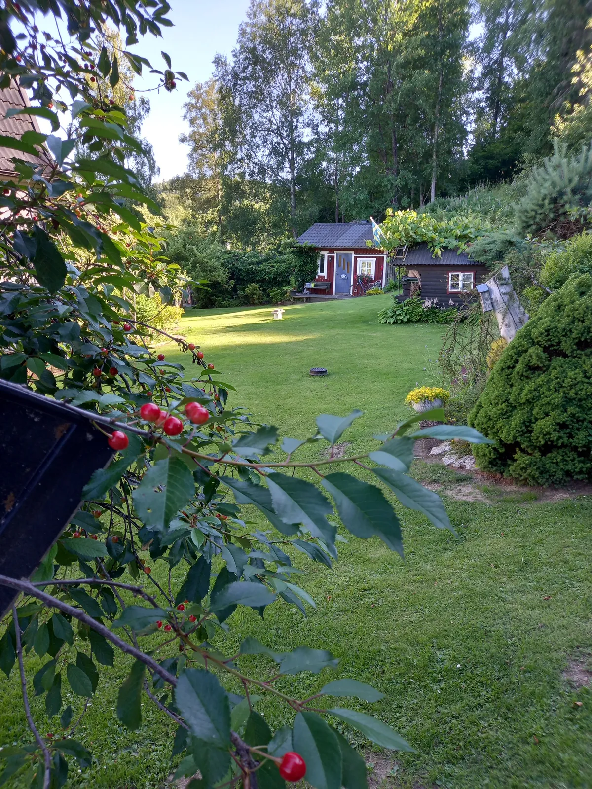Property image 11
