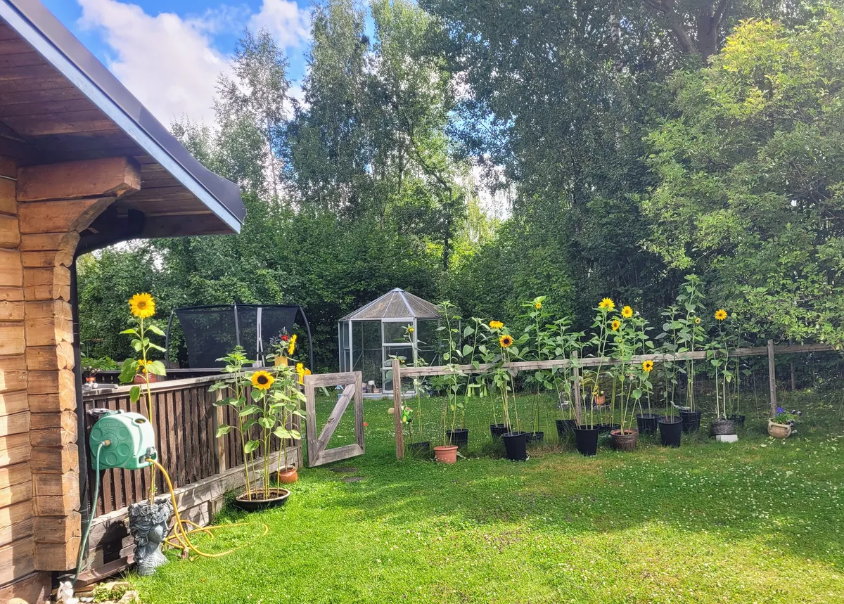 Property image 19