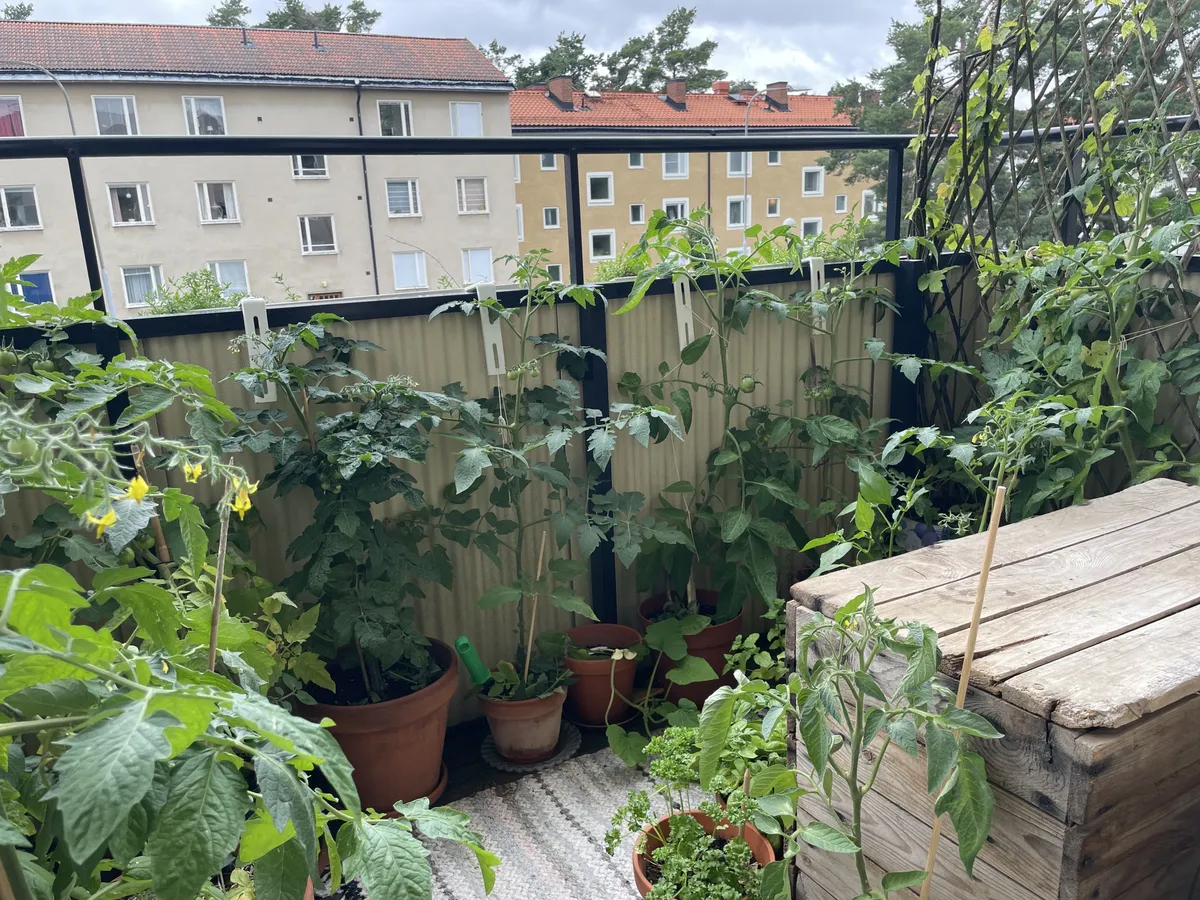 Property image 16
