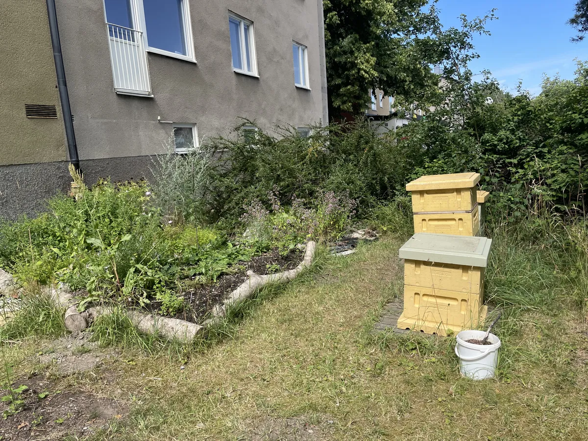 Property image 30