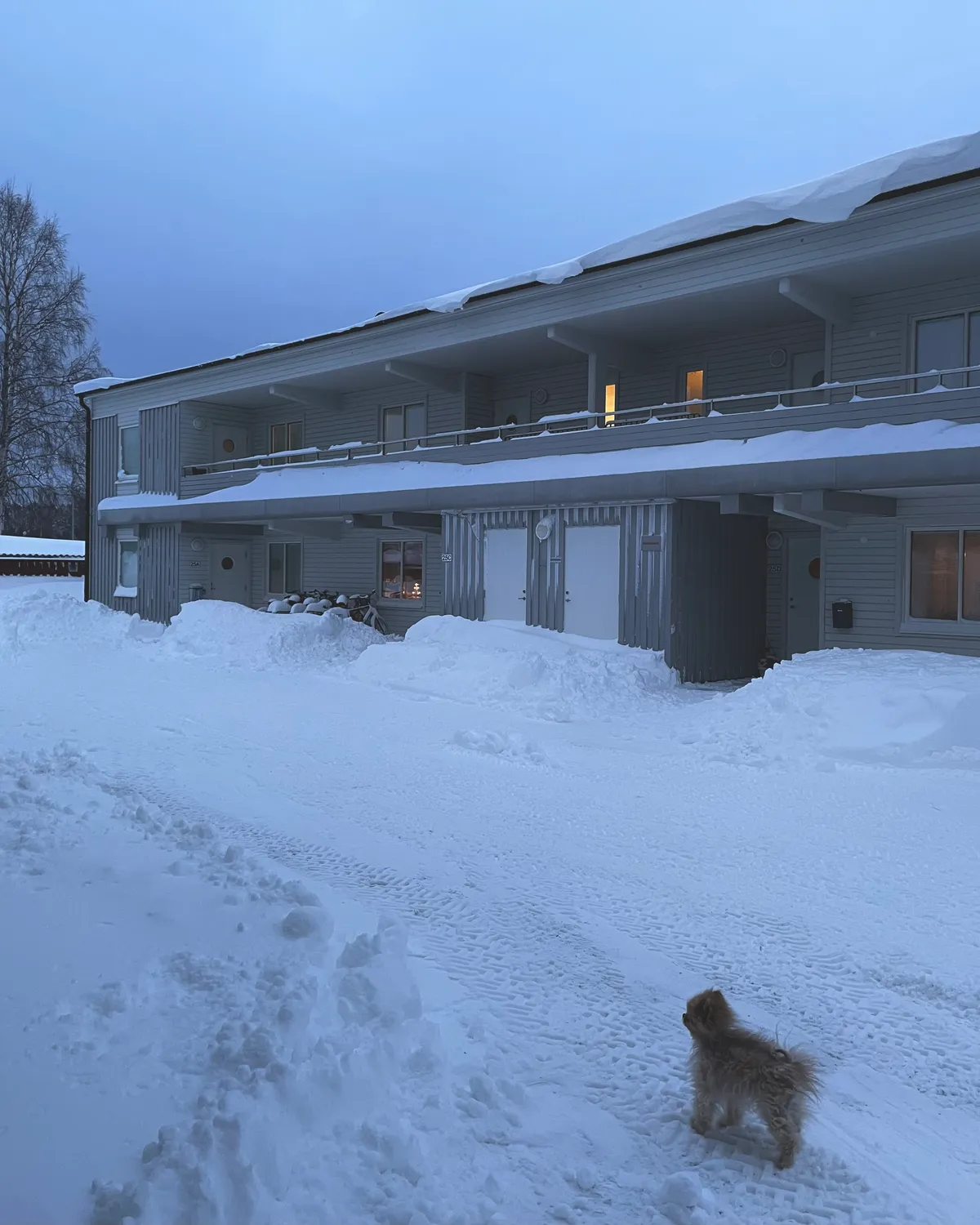 Property image 28