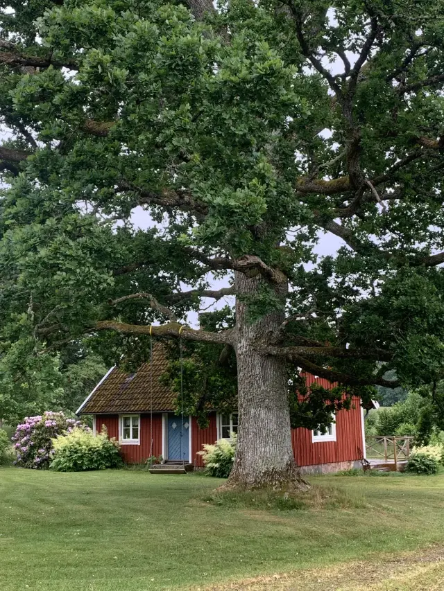 Hyresbostad på Ljungby i ljungby