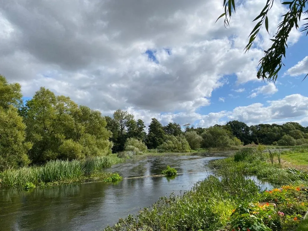 Property image 39