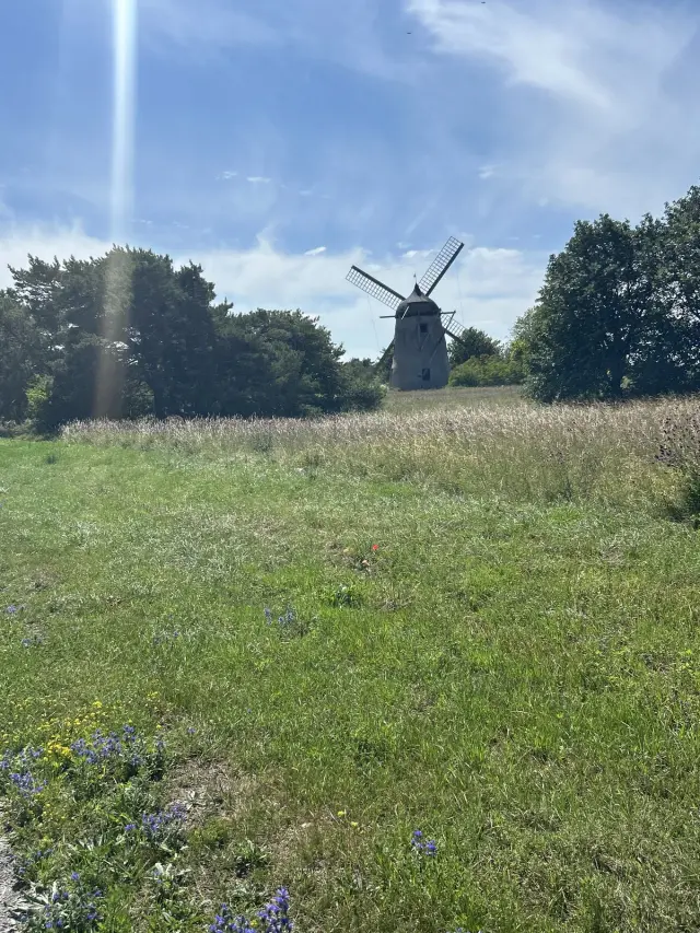 Hyreslägenhet på Visby i visby
