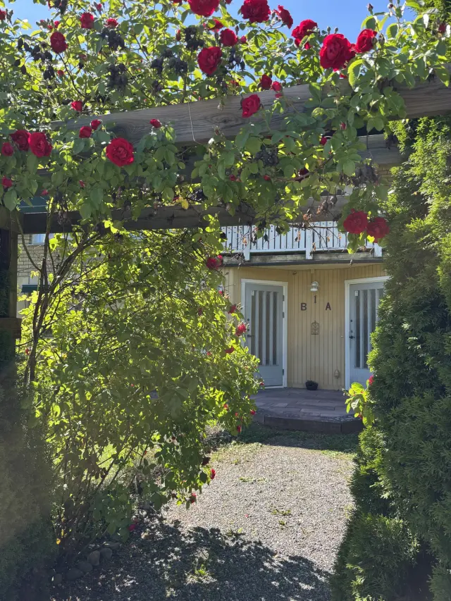 Hyreslägenhet på Sigtuna i sigtuna