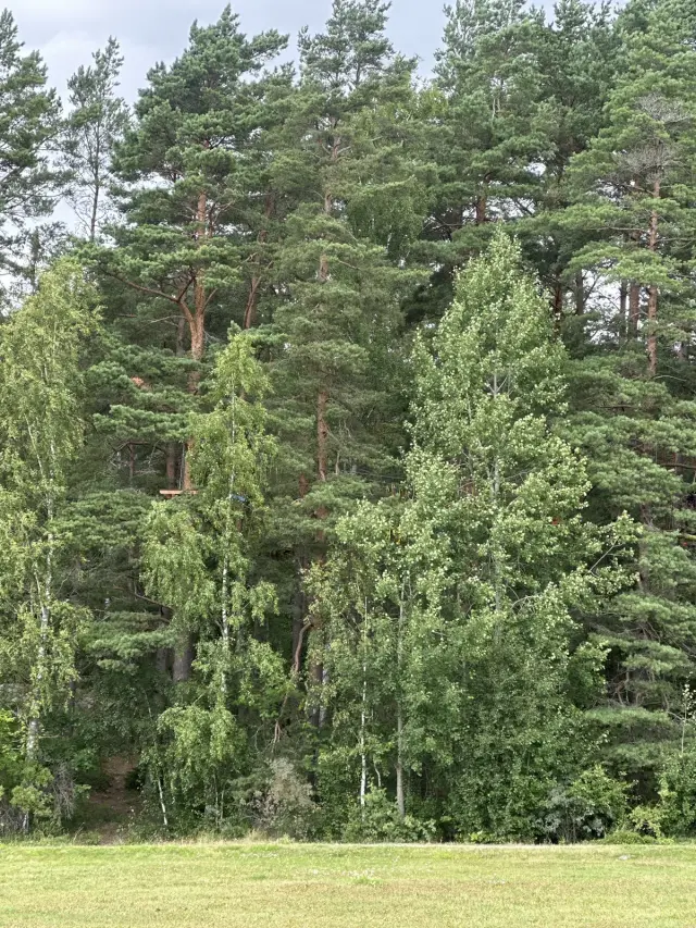 Hyreslägenhet på Kista i kista