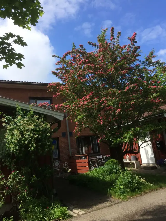 Hyresbostad på Uppsala i uppsala