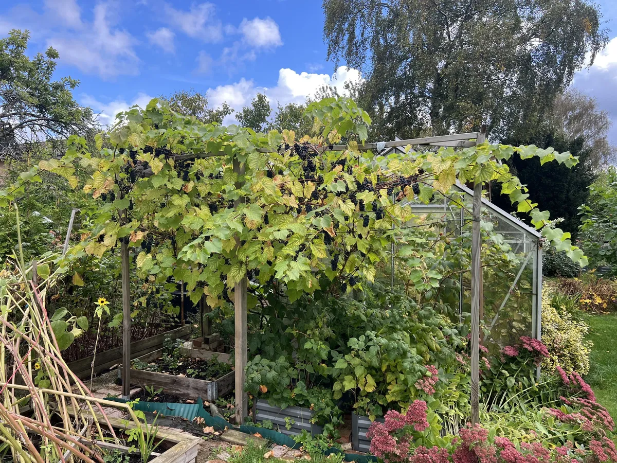 Property image 18