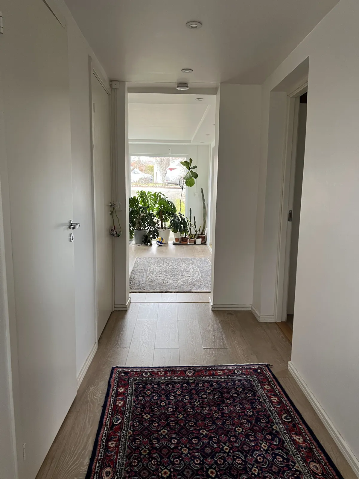Property image 36