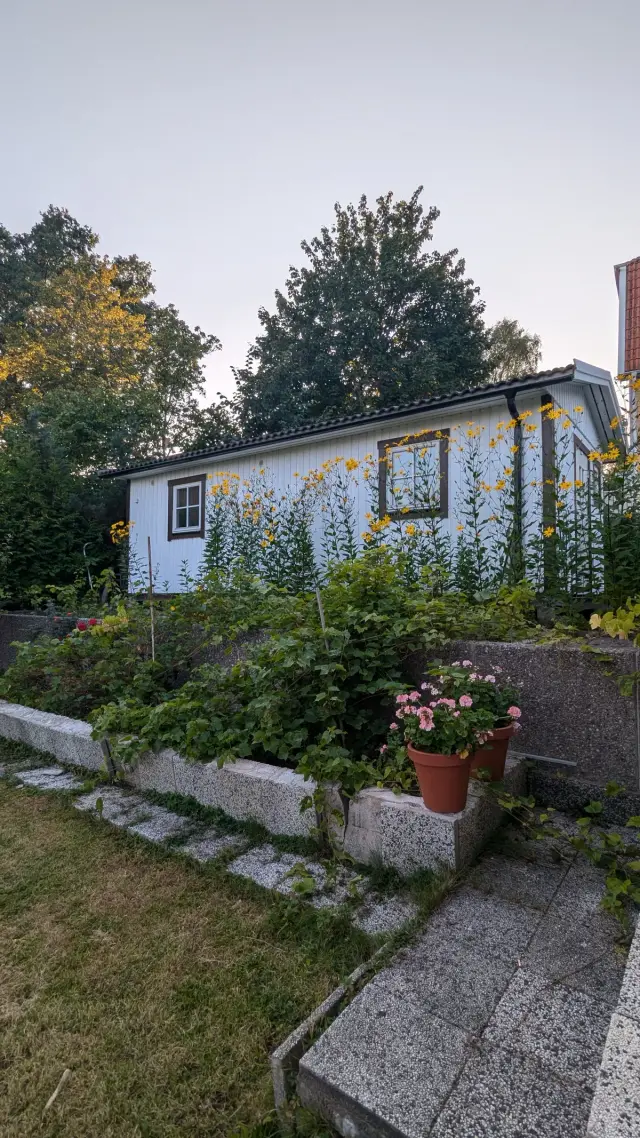 Hyresbostad på Spånga i spanga