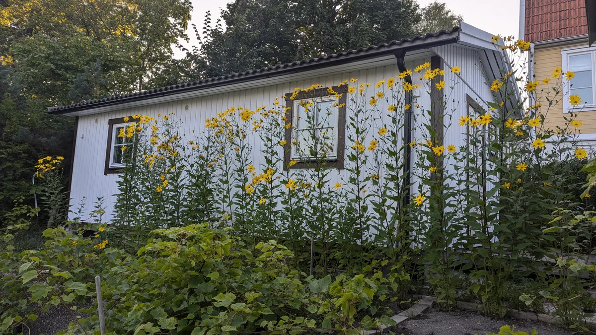 Property image 18