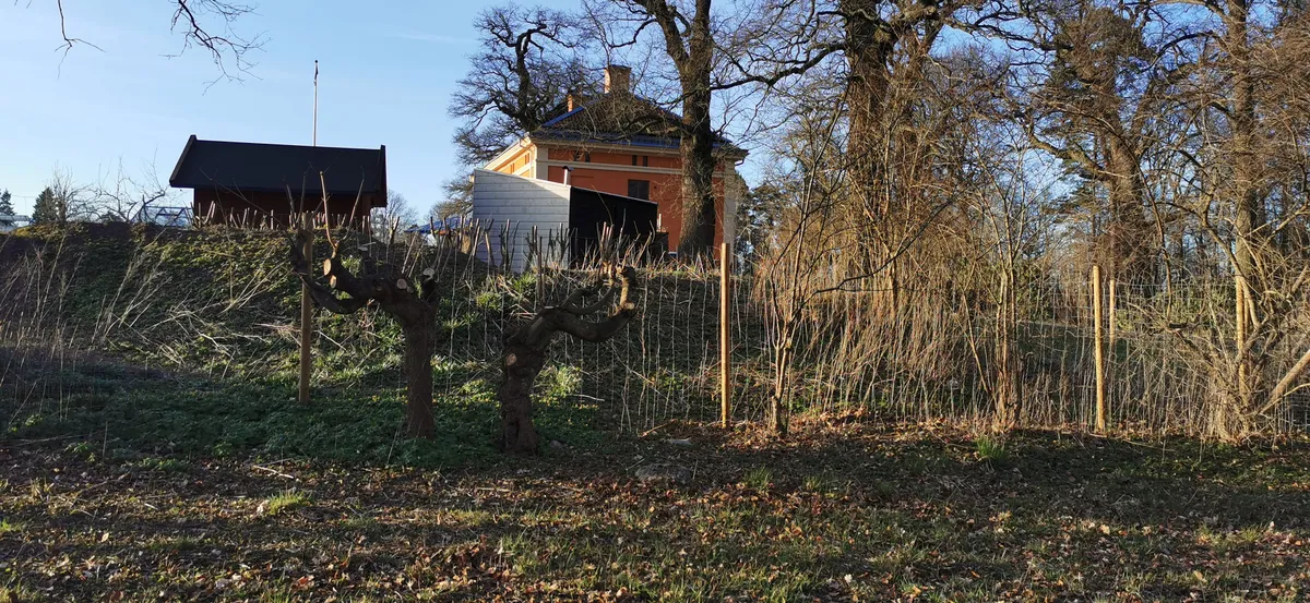 Property image 23