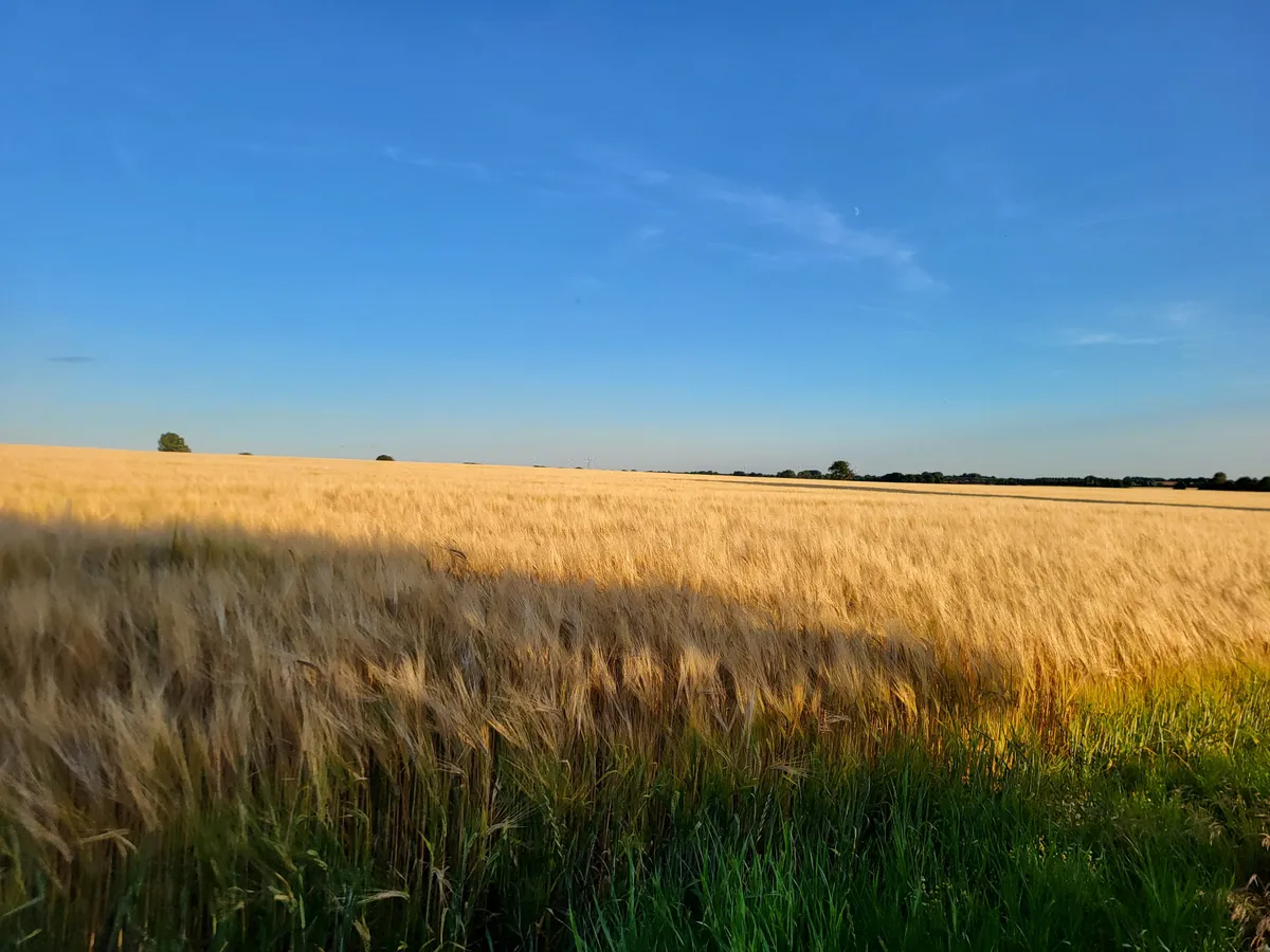 Hus på Högestorp i Marieholm