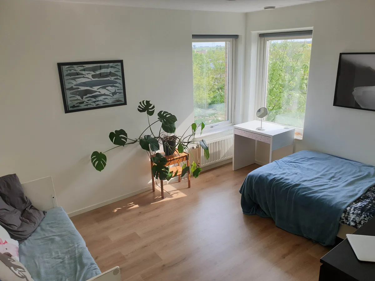 Property image 8