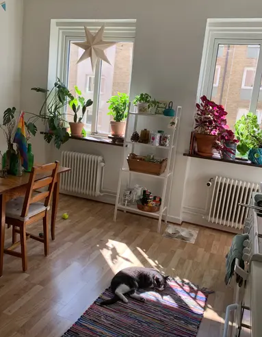 Hyreslägenhet på Malmö i malmo