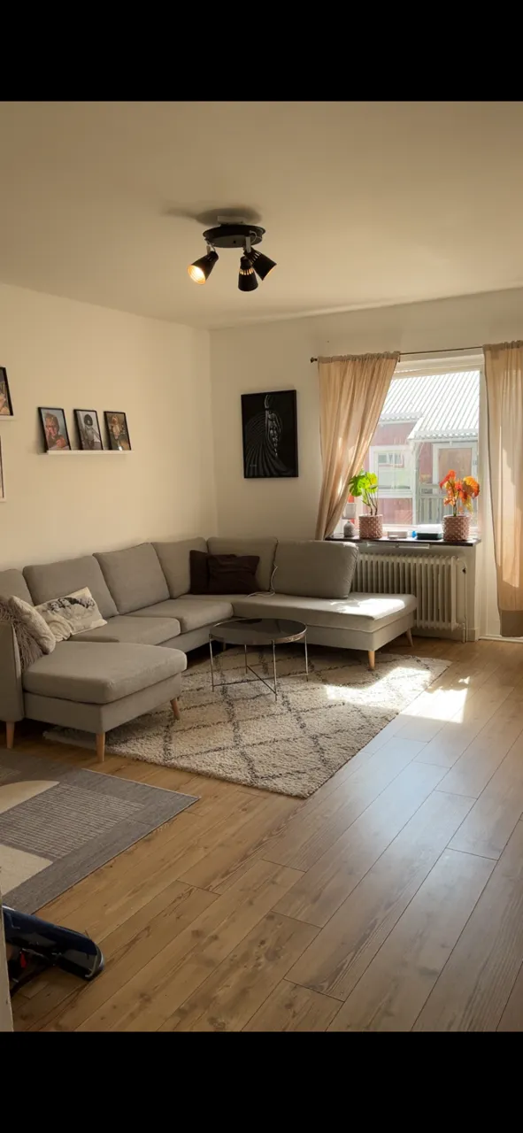 Radhusgatan i Svaneholm