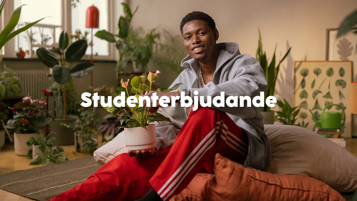 Dunkehallavägen i Jönköping