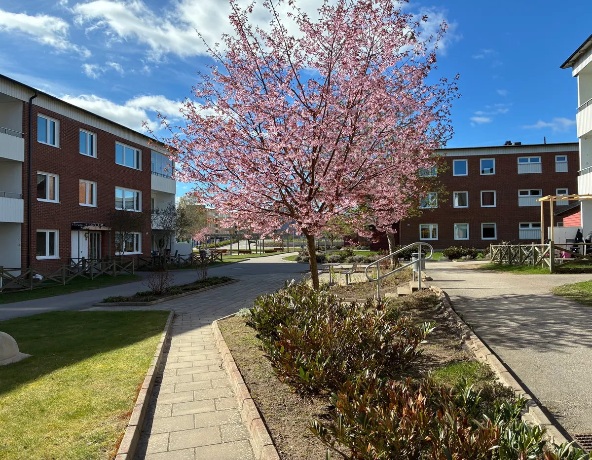 Barkvägen i Skövde